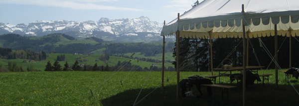 Games and Barbecue Fun in the Nature Tent