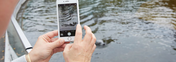 Tierpark-Fotografie mit dem Handy