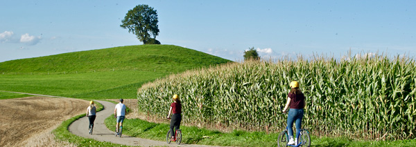 Scooter fun in the Emmental