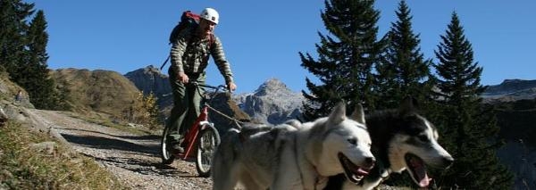 Randonnée en trottinette avec des Huskies