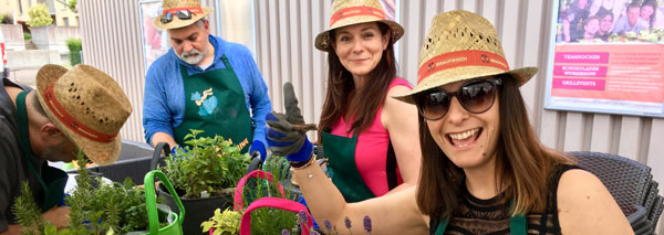 Urban Gardening – planting in a team