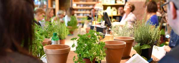 Get to know urban gardening