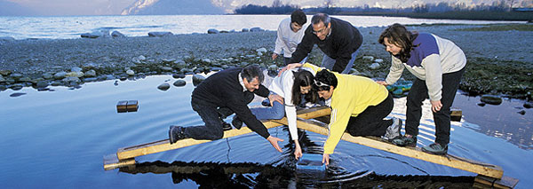 Formation d'équipe avec «Trust and Team»