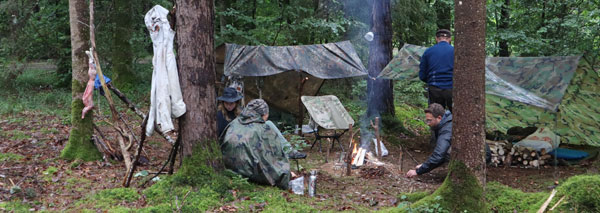 Forest Games - fun and games in the forest