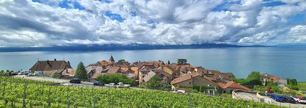 Weinrundgang im Lavaux mit kalter Platte