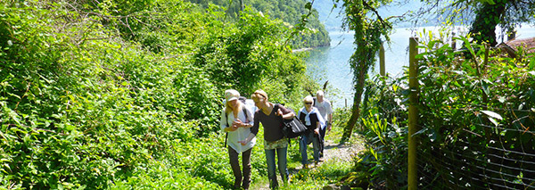 Wine tour on the Walensee