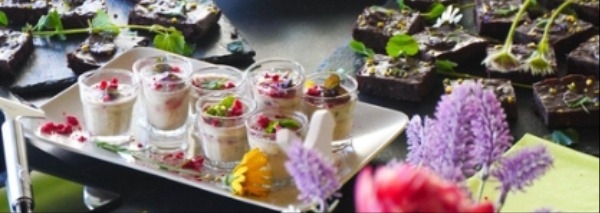 Wildkräuter-Workshop mit Brunch