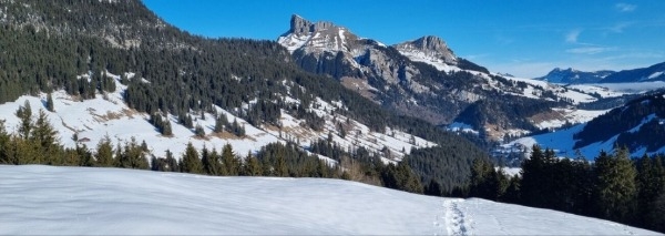Winter team experience: snowshoe tour