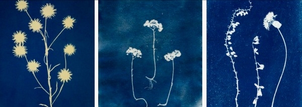 Kreativ-Workshop: Magische Bilder in Cyanblau
