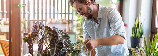 Nurturing and caring for houseplants