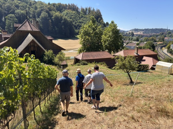 Kundenbild zu Visite guidée du vignoble et dégustation de vin à Burgdorf 1