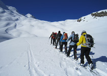 Wildlife discovery on snow shoes