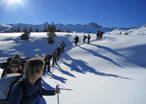 Wildlife discovery on snow shoes