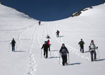 Wildlife discovery on snow shoes