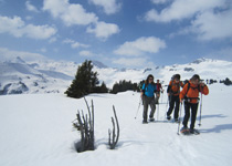 Wildlife discovery on snow shoes