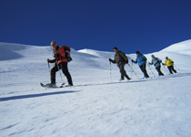 Wildlife discovery on snow shoes