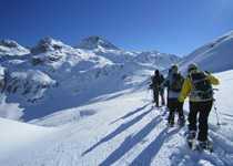 Wildlife discovery on snow shoes