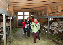 Appenzell traditions