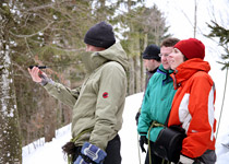 Profiter des plaisirs de l'hiver dans le Toggenburg