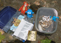 Geocaching-Workshop