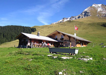 Cabin magic in Adelboden