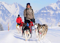 Faire la fête avec des Huskies dans le Toggenburg