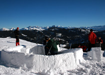 Igloo building in a team