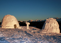 Igloo building in a team