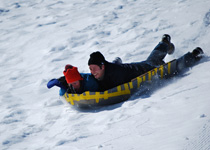 Build a sledge out of cardboard