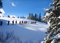 Snow shoe tour with an avalanche expert