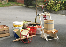 Pressing fruit juice