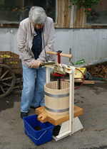 Pressing fruit juice