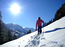 La Suisse, paradis de la raquette à neige