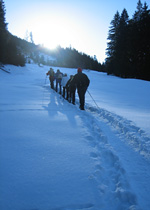 Zweitägiges Schneeschuh-Trekking zum Spitzmeilen