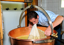 Fabriquer du fromage dans la vallée de la Muota