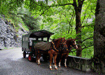 Erlebniswanderung Taminaschlucht