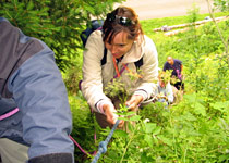 Jeux d'équipe dans la nature