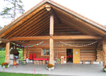 Tout ce qu'il faut pour une fête dans une cabane en forêt