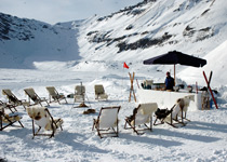 Winter drinks at the snow bar