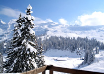 Winter experience in Hoch-Ybrig