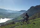 Excursion à vélo au départ de Lucerne