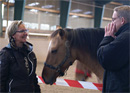 Formation et coaching grâce à la relation avec les chevaux