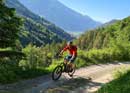 E-Bike-Genusstour ab Chur mit Rodelspass