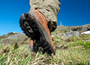 Fackelwanderung oder Schneeschuhtour Wengen