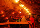 Fête dans une grotte sur la montagne du Rigi