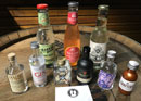Gin Tasting in Bern
