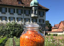 Heilkräuter-Workshop im Bern oder Solothurn