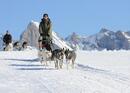 Huskyplausch im Toggenburg