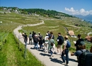 Weinwanderung, Degustation und Rätselspass am Genfersee