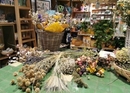 Dried flower workshop